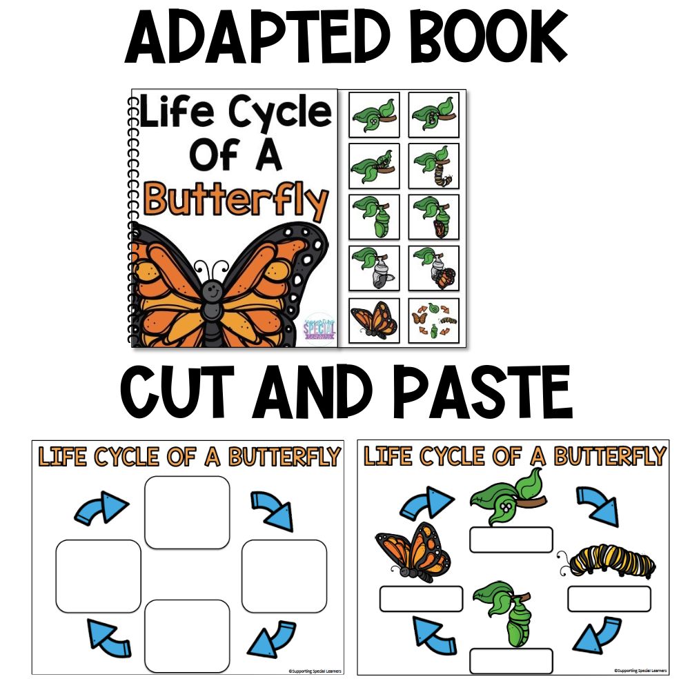 life cycle of a butterfly adapted book and cut and paste