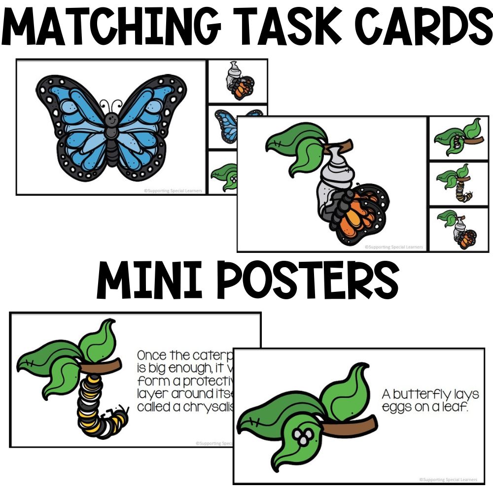 life cycle of a butterfly matching task cards and mini posters
