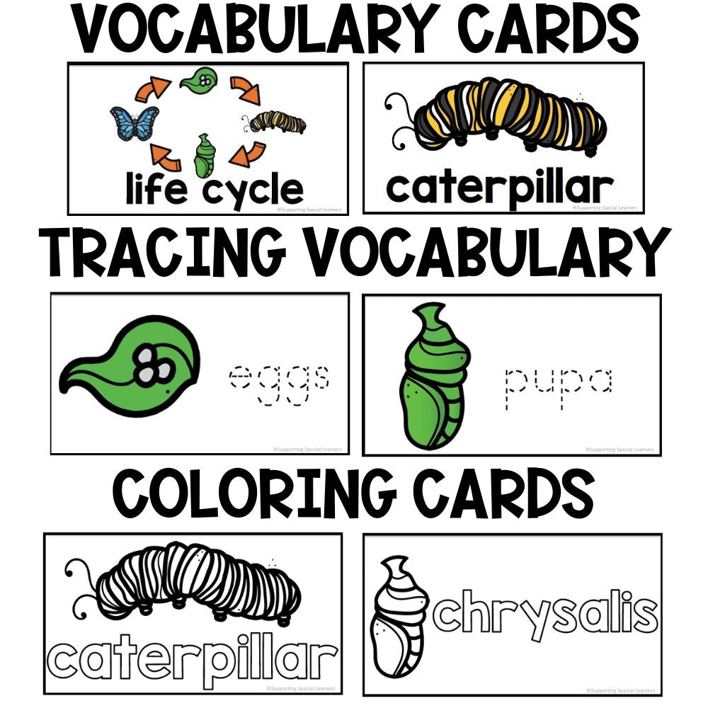 life cycle of a butterfly vocabulary, tracing and coloring cards