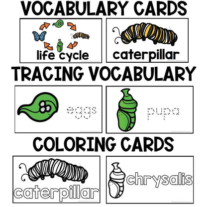 life cycle of a butterfly vocabulary, tracing and coloring cards