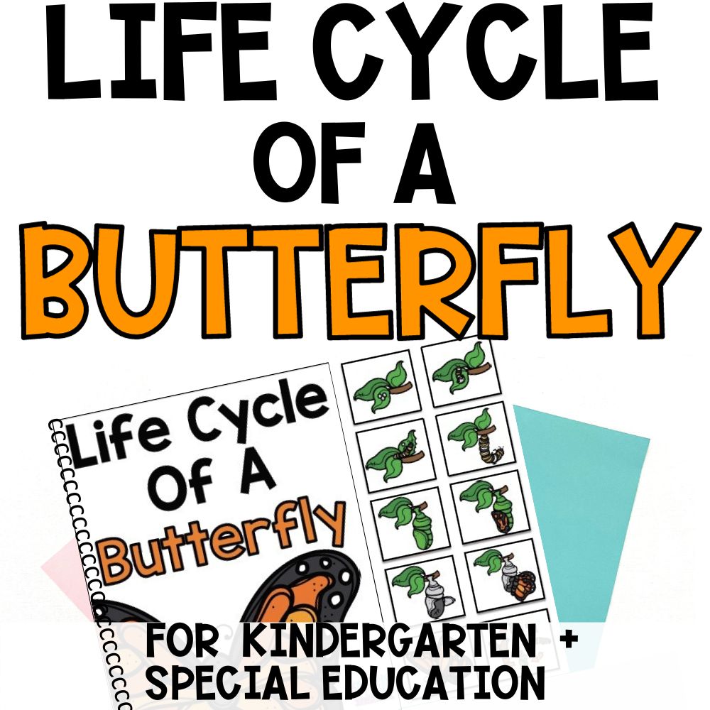 life cycle of butterfly cover